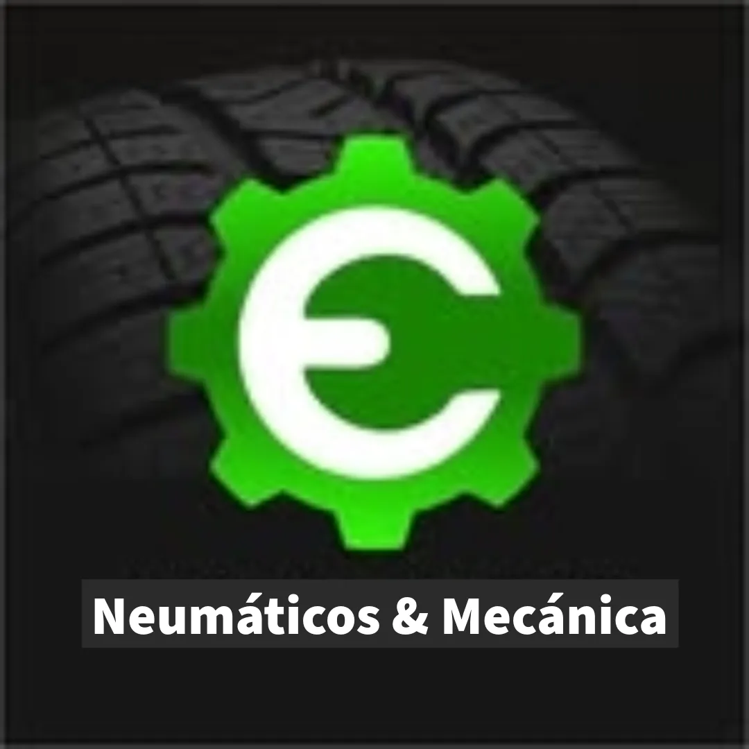 Neumáticos Guillermo